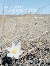 cover of To Find a Pasqueflower: A Story of the Tallgrass Prairie