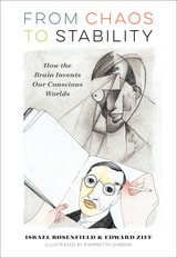 cover of From Chaos to Stability: How the Brain Invents Our Conscious Worlds