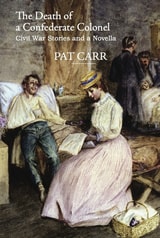 cover of Death of a Confederate Colonel: Civil War Stories and a Novella