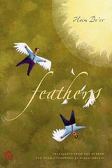 cover of Feathers