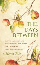 cover of The Days Between: Blessings, Poems, and Directions of the Heart for the Jewish High Holiday Season