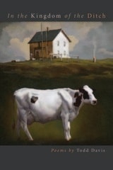 cover of In the Kingdom of the Ditch