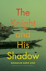 cover of The Knight and His Shadow
