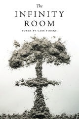 cover of The Infinity Room