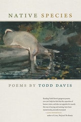 cover of Native Species