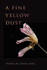 cover of A Fine Yellow Dust