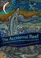 cover of The Accidental Reef and Other Ecological Odysseys in the Great Lakes
