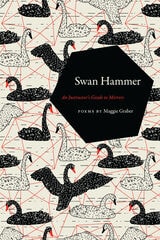 cover of Swan Hammer: An Instructor’s Guide to Mirrors