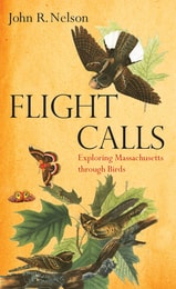 cover of Flight Calls: Exploring Massachusetts through Birds