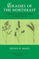 cover of Grasses of the Northeast: A Manual of the Grasses of New England and Adjacent New York