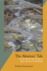 cover of The Alewives' Tale: The Life History and Ecology of River Herring in the Northeast