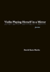 cover of Violin Playing Herself in a Mirror: Poems