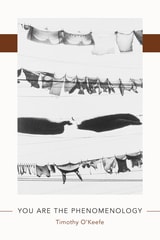 cover of You Are the Phenomenology
