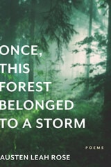 cover of Once, This Forest Belonged to a Storm