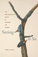 cover of Seeing to See: The Non-Teleological Poetics of Dickinson and Thoreau