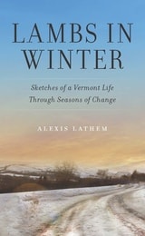 cover of Lambs in Winter: Sketches of a Vermont Life Through Seasons of Change