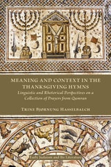 cover of Meaning and Context in the Thanksgiving Hymns: Linguistic and Rhetorical Perspectives on a Collection
