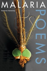 cover of Malaria, Poems