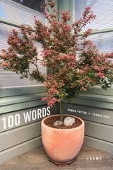 cover of 100 Words: Poems