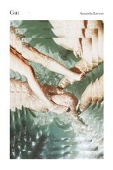 cover of Gut