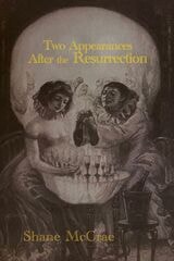 cover of Two Appearances After the Resurrection