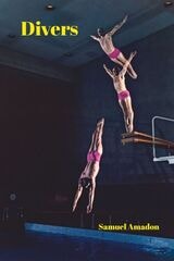 cover of Divers