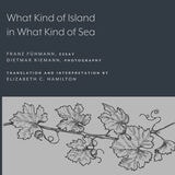 cover of What Kind of Island in What Kind of Sea?