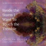 cover of Inside the Storm I Want to Touch the Tremble