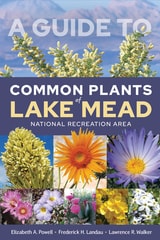cover of A Guide to Common Plants of Lake Mead National Recreation Area