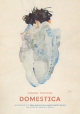 cover of Domestica