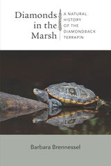 cover of Diamonds in the Marsh: A Natural History of the Diamondback Terrapin