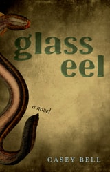 cover of Glass Eel: A Novel