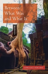 cover of Between What Was and What Is: Essays