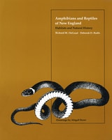 cover of Amphibians and Reptiles of New England: Habitats and Natural History