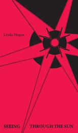 cover of Seeing through the Sun