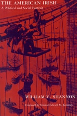 cover of The American Irish: A Political and Social Portrait