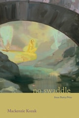 cover of no swaddle