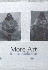 cover of More Art in the Public Eye