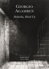 cover of Hölderlin’s Madness: Chronicle of a Dwelling Life, 1806–1843