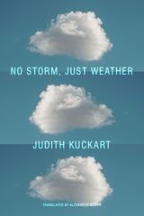 cover of No Storm, Just Weather