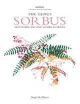 cover of Genus Sorbus: mountain ash and other rowans