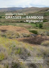 cover of Identification Guide to Grasses and Bamboos in Madagascar