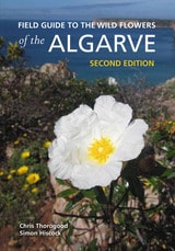cover of Field Guide to the Wild Flowers of the Algarve: Second Edition