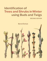 cover of Identification of Trees & Shrubs in Winter Using Buds and Twigs, Second Edition