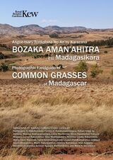 cover of Photographic Field Guide of Common Grasses of Madagascar