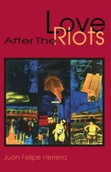 cover of Love After the Riots