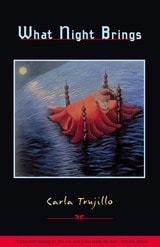 cover of What Night Brings