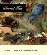 cover of Scared Text