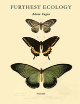 cover of Furthest Ecology