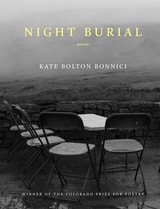 cover of Night Burial